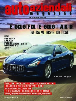 MOLTO NLT, MOLTO DIESEL - E PIÙ SICUREZZA NELLE FLOTTE - Auto Aziendali Magazine