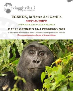 UGANDA, la Terra dei Gorilla - DAL 25 GENNAIO AL 4 FEBBRAIO 2023 L'emozione dell'incontro con il Gorilla di Montagna nel suo habitat - Viaggi Tribali