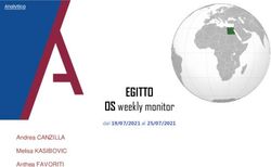 EGITTO OS weekly monitor - dal 19/07/2021 al 25/07/2021 Andrea CANZILLA Melisa KASIBOVIC Anthea FAVORITI - Analytica for intelligence and ...