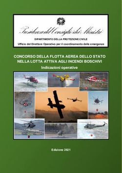 6 CONCORSO DELLA FLOTTA AEREA DELLO STATO NELLA LOTTA ATTIVA AGLI INCENDI BOSCHIVI - Indicazioni operative