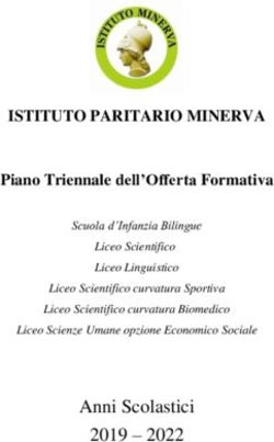 Anni Scolastici 2019 2022 - ISTITUTO PARITARIO MINERVA - Istituto Minerva