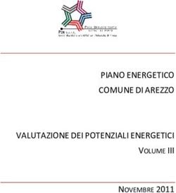 PIANO ENERGETICO COMUNE DI AREZZO VALUTAZIONE DEI POTENZIALI ENERGETICI - VOLUME III NOVEMBRE 2011