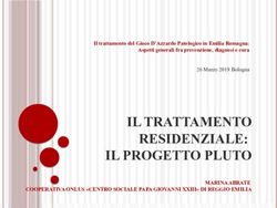 IL TRATTAMENTO RESIDENZIALE: IL PROGETTO PLUTO - Salute regione Emilia-Romagna