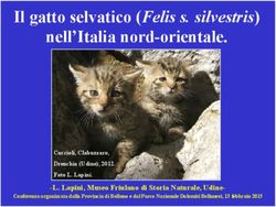 Il gatto selvatico (Felis s. silvestris) nell'Italia nord-orientale.