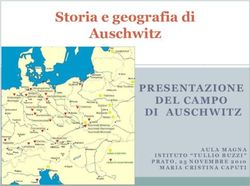 Storia e geografia di Auschwitz - PRESENTAZIONE DEL CAMPO DI AUSCHWITZ - Tullio Buzzi