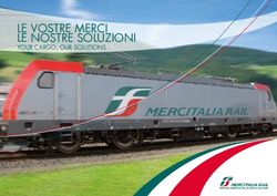 LE VOSTRE MERCI LE NOSTRE SOLUZIONI - YOUR CARGO, OUR SOLUTIONS - Mercitalia Rail