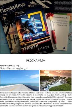 Volo - Miami - Key Largo - Venerd&igrave; 11 GENNAIO 2019 - My Boarding Pass