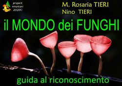 Guida al riconoscimento - M. Rosaria TIERI Nino TIERI