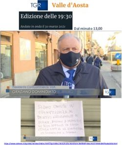 Dal minuto 13,00 - Format Research
