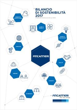 BILANCIO DI SOSTENIBILIT&Agrave; 2017 - ConsumerLab.it
