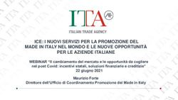 ICE: I NUOVI SERVIZI PER LA PROMOZIONE DEL MADE IN ITALY NEL MONDO E LE NUOVE OPPORTUNITÀ PER LE AZIENDE ITALIANE - FederUnacoma