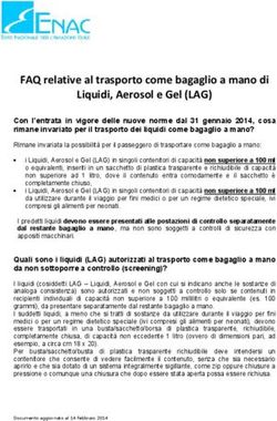 FAQ relative al trasporto come bagaglio a mano di Liquidi, Aerosol e Gel (LAG)