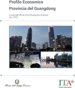Profilo Economico Provincia del Guangdong - A cura dell'Ufficio ICE di Guangzhou (Canton) Giu. 2019