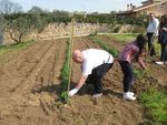 CONVENZIONE ANMIC SEDE PROVINCIALE DI ROMA - In collaborazione con - ANMIC Roma