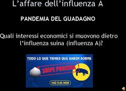 L'affare dell'influenza A - PANDEMIA DEL GUADAGNO Quali interessi economici si muovono dietro