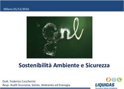 Sostenibilità Ambiente e Sicurezza - Milano 01/12/2016 - Dott. Federico Ceccherini Resp. Audit Sicurezza, Salute, Ambiente ed Eneregia - Fire