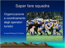 Saper fare squadra Organizzazione e coordinamento degli operatori turistici - A cura di Franco G. Ferrero