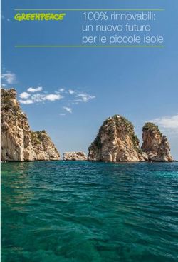 100% rinnovabili: un nuovo futuro per le piccole isole - Coordinamento FREE