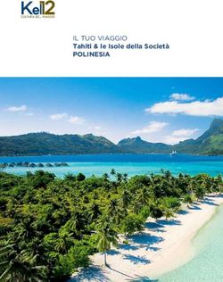 IL TUO VIAGGIO Tahiti & le Isole della Societ&agrave; POLINESIA - "Image:Lo gotipo" - Kel 12