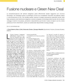 Fusione nucleare e Green New Deal