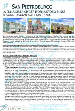 SAN PIETROBURGO LA CULLA DELLA CIVILT&Agrave; E DELLA STORIA RUSSE - Travel Design Studio