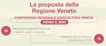 La partecipazione del Partenariato PAC2030 alla Consultazione online - Febbraio 2021 - Portale PIAVe