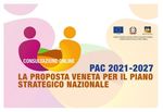La partecipazione del Partenariato PAC2030 alla Consultazione online - Febbraio 2021 - Portale PIAVe