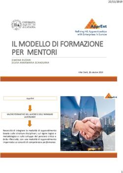 IL MODELLO DI FORMAZIONE PER MENTORI