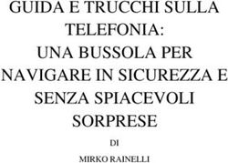 GUIDA E TRUCCHI SULLA TELEFONIA: UNA BUSSOLA PER NAVIGARE IN SICUREZZA E SENZA SPIACEVOLI SORPRESE - DI MIRKO RAINELLI