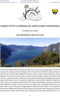 LUNGO TUTTA LA SPONDA DEL LAGO D'ISEO E MONTISOLA
