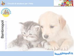 Circuiti di strutture per i Pets - Bambinopoli per le aziende