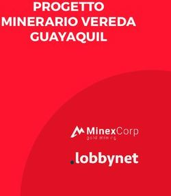 PROGETTO MINERARIO VEREDA GUAYAQUIL - MinexCorp Gold Mining