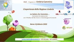 L'esperienza della Regione Umbria - La Salute che Cammina - EpiCentro