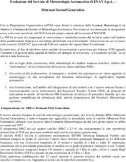 Evoluzione del Servizio di Meteorologia Aeronautica di ENAV S.p.A. : Meteosat Second Generation