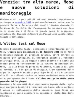 Venezia: tra alta marea, Mose di