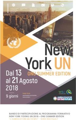 BANDO DI PARTECIPAZIONE AL PROGRAMMA FORMATIVO NEW YORK YOUNG UN 2018 - ONU SUMMER EDITION - WSC Italia