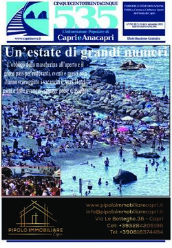 Un'estate di grandi numeri - Capri News