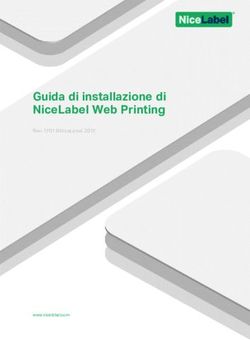 GUIDA DI INSTALLAZIONE DI NICELABEL WEB PRINTING - REV-1701 NICELABEL 2017 - WWW.NICELABEL.COM