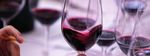 I SUOI VINI, AL CENTRO DELLA SCENA - Attraverso la partecipazione all'IWSC, le garantiamo la visibilità dei suoi vini su scala internazionale