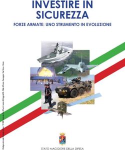 INVESTIRE IN SICUREZZA - FORZE ARMATE: UNO STRUMENTO IN EVOLUZIONE
