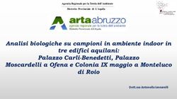 Analisi biologiche su campioni in ambiente indoor in tre edifici aquilani: Palazzo Carli-Benedetti, Palazzo Moscardelli a Ofena e Colonia IX ...