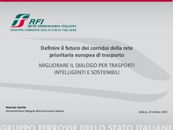 MIGLIORARE IL DIALOGO PER TRASPORTI INTELLIGENTI E SOSTENIBILI - Definire il futuro dei corridoi della rete prioritaria europea di trasporto