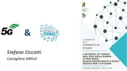 STEFANO CICCOTTI CONSIGLIERE ANFOV