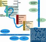 STRATEGIE INTEGRATE PER LA QUALITÀ E LA RESILIENZA DEI TERRITORI DEI FIUMI