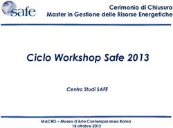Ciclo Workshop Safe 2013 - Cerimonia di Chiusura Master in Gestione delle Risorse Energetiche - SafeOnline.it