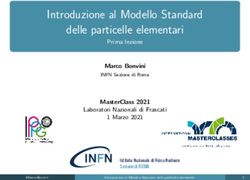 Introduzione al Modello Standard delle particelle elementari