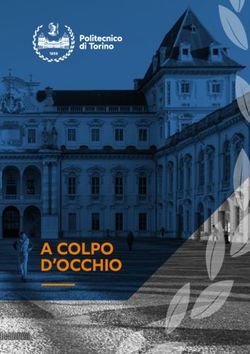 A COLPO D'OCCHIO - Politecnico di Torino