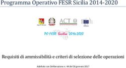 Programma Operativo FESR Sicilia 2014-2020 - Requisiti di ammissibilita e criteri di selezione delle operazioni - Confcommercio