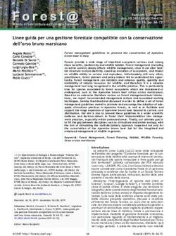 Linee guida per una gestione forestale compatibile con la conservazione dell'orso bruno marsicano - SISEF.ORG