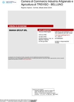 Camera di Commercio Industria Artigianato e Agricoltura di TREVISO - BELLUNO - Smania Group